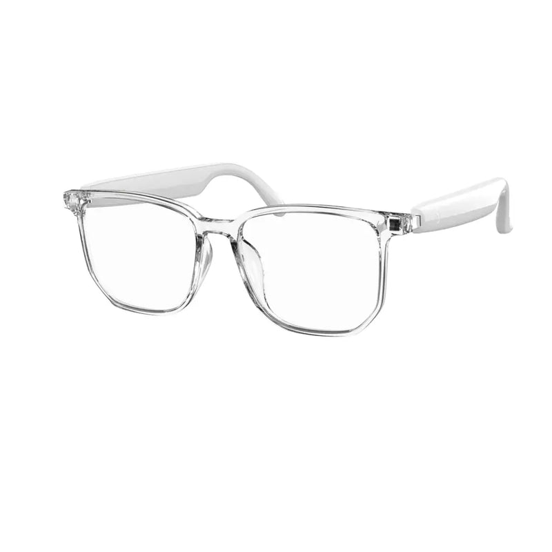 Green Lion Hamburg Smart Glasses