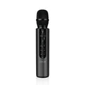 Green Lion Karaoke Microphone