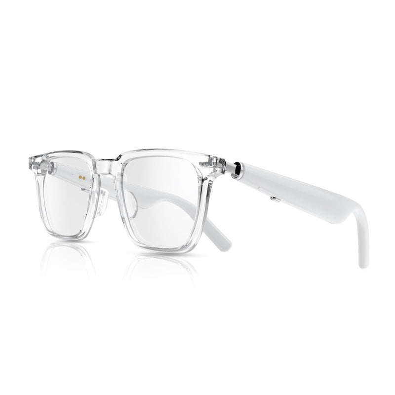 Green Lion Munich Smart Glasses
