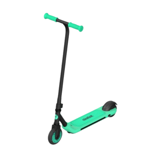 Ninebot eKickScooter ZING A6 Powered by Segway