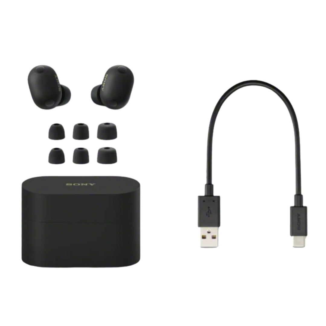 Sony WF-1000XM6 Wireless Noise Cancelling Earbuds
